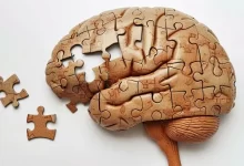 Photo of A qué edad empieza la pérdida de memoria y cómo estimular la mente para prevenirla